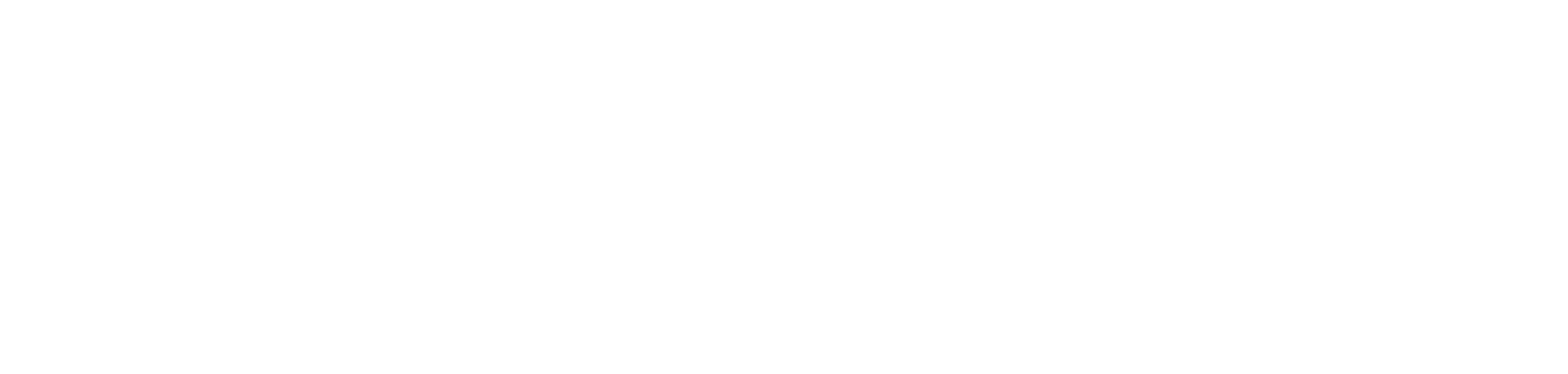 TCS50 Brand Logo